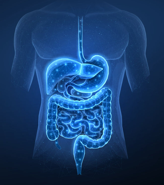 Gut Health Balance