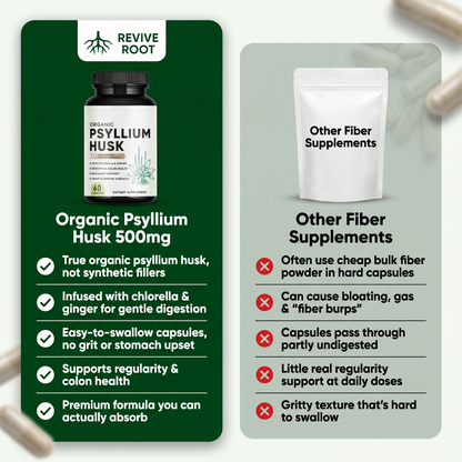 Psyllium Husk 500mg with Ginger & Chlorella